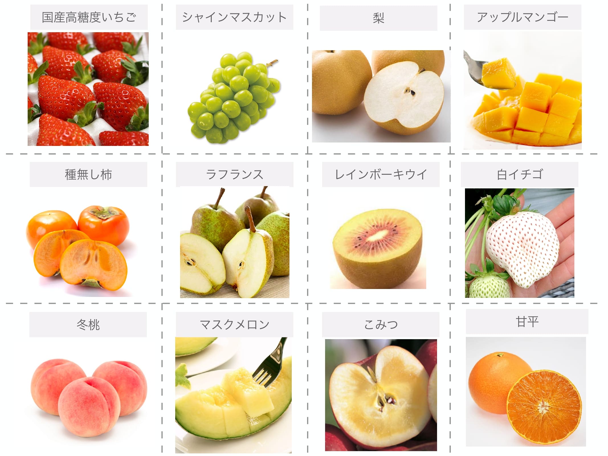Japan Fruits Channel | 美味しいフルーツを高鮮度でお手頃価格を実現